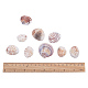 1 boîte coquilles coquilles Saint-Jacques coquille de palourde perles colorées avec des trous pour la fabrication artisanale 40-50pcs(BSHE-YW0001-01)-4