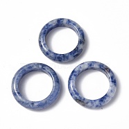 Natural Blue Spot Jasper  Plain Band Ring, Gemstone Jewelry for Women, US Size 9(18.9mm)(RJEW-P044-01B-02)