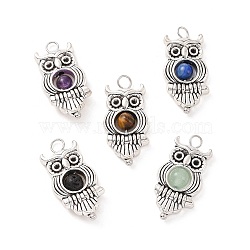 Natural Mixed Stone Pendants, Owl Charm, with Antique Silver Tone Alloy Findings, 23x11.5x4.5mm, Hole: 1.7mm(PALLOY-JF01714-01)
