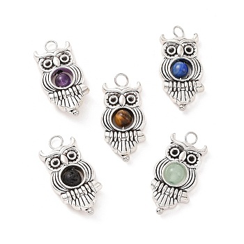 Natural Mixed Stone Pendants, Owl Charm, with Antique Silver Tone Alloy Findings, 23x11.5x4.5mm, Hole: 1.7mm