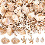 180Pcs 3 Style Ocean Theme Opaque Acrylic Pendants, Imitation Gemstone, Starfish Charms, Scallop Shell Shape, Mixed Color, 17~26x11.5~27.5x5~7mm, Hole: 2mm, about 60pcs/style(OACR-SP0001-54)