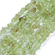 Natural Peridot Chips Beads Strands, 4~6x4~6mm, Hole: 1mm, about 31.5 inch(X-G-O049-B-07)