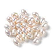 Natural Cultured Freshwater Pearl Beads, Half Drilled, Rice, Grade 5A+, WhiteSmoke, 10~12x7~8mm, Hole: 0.9mm(PEAR-E020-17)