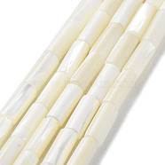 Natural Trochus Shell Beads Strands, Column, Floral White, 13.5~14x5.5~6mm, Hole: 0.6mm, about 29pcs/strand, 15.75''(40cm)(SSHEL-S266-020A-06)