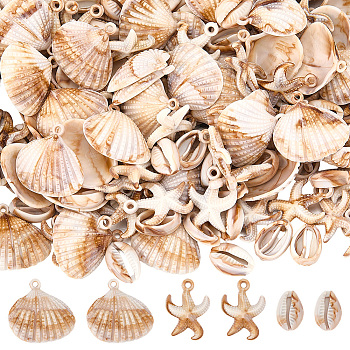 180Pcs 3 Style Ocean Theme Opaque Acrylic Pendants, Imitation Gemstone, Starfish Charms, Scallop Shell Shape, Mixed Color, 17~26x11.5~27.5x5~7mm, Hole: 2mm, about 60pcs/style