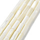Natural Trochus Shell Beads Strands(SSHEL-S266-020A-06)-1