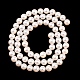 Electroplated Shell Pearl Beads Strands(BSHE-C011-01A)-2
