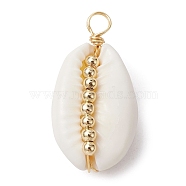 Natural Cowrie Shell Copper Wire Wrapped Pendants, Shell Charms with Golden Tone Brass Spacer Beads, White, 25.5x13.5x8mm, Hole: 2.8mm(PALLOY-JF02277-01)