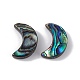 Natural Abalone Shell/Paua Shell Beads(SSHEL-M021-08)-2