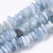 Natural Aquamarine Beads Strands, Chip, 8~20x6~10x1.5~5mm, Hole: 1mm, about 160~165pcs/strand, 15.7 inches(40cm)(G-S315-46)