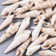 Natural Spiral Shell Beads(SSHEL-S258-79)-1