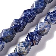 Natural Sodalite Beads Strands, Faceted, Rhombus, 13~19x9~17x9~17mm, Hole: 1mm, about 22pcs/strand, 15.83''~16.14''(40.2~41cm)(G-L235A-15)
