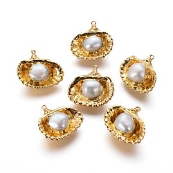 Natural Cultured Freshwater Pearl Pendants, with Brass Findings, Shell Shape, Golden, 22~23.5x23~26x10~12mm, Hole: 1.2mm(PEAR-F011-64G)