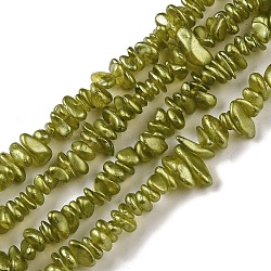 Electroplate Glass Beads Strands, Chip, Olive Drab, 2.5~6.5x3~10x4~12.5mm, Hole: 1mm, 33.86''(86cm)(GLAA-P062-B09)