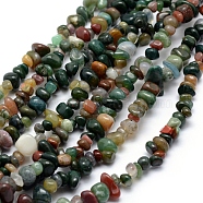 Natural Indian Agate Beads Strands, Chip, 5~8mm, Hole: 1mm, about 33 inch(84cm)(G-P332-34C)