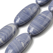 Synthetic Blue Lace Agate Beads Strands, Flat Oval, 24~24.5x11.5~12x5mm, Hole: 1mm, about 17pcs/strand, 16.14''(41cm)(G-B071-H02-01)