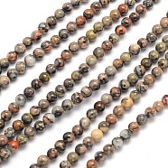 Natural Silver Crazy Lace Agate Round Beads Strands, 1/8 inch(4mm), Hole: 0.7mm, about 90pcs/strand, 15.5 inch(X-G-N0166-34-4mm)