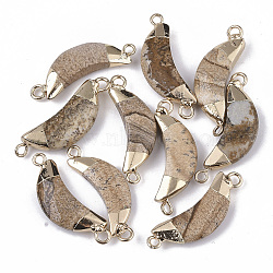 Natural Picture Jasper Links connectors, with Both Ends Golden Plated Iron Loops, Faceted, Moon, 27~31x10x5~6mm, Hole: 2mm(G-S359-054C)