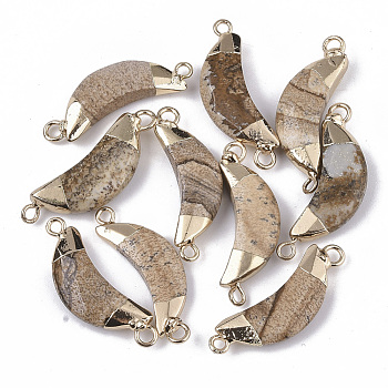 Natural Picture Jasper Links connectors, with Both Ends Golden Plated Iron Loops, Faceted, Moon, 27~31x10x5~6mm, Hole: 2mm