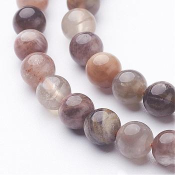 Natural Black Sunstone Bead Strands, Round, 5.5~6mm, Hole: 0.5mm, about 63pcs/strand, 14.9 inch(380mm)