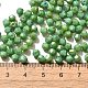 Baking Paint Glass Seed Beads(SEED-A032-02A-05)-4