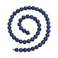 5 Strands Natural Lapis Lazuli Beads Strands, Dyed, Round, 4mm, Hole: 0.5~0.8mm, about 44pcs/strand, 7.6 inch(G-NB0004-56)