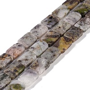 Natural Agate Beads Strands, Rectangle, 13x18x6mm, Hole: 0.8mm, about 22pcs/strand, 15.75''(40cm)(G-M420-M07-02)