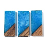 Resin & Wood Pendants, Rectangle Charms, Dodger Blue, 38.5x15.5x3.5mm, Hole: 2mm(WOOD-F015-09C)