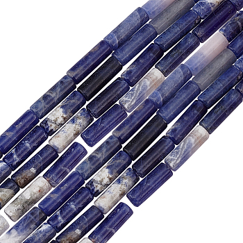 2 Strands Natural Sodalite Beads Strands, Column, 12x4mm, Hole: 1.2mm, about 32pcs/strand, 15.55''(39.5cm)