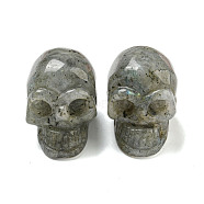 Halloween Natural Labradorite Skull Figurines, for Home Office Desktop Decoration, 28~30x23~25x26~27mm(DJEW-L021-01F)