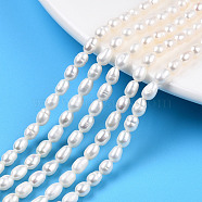 Natural Cultured Freshwater Pearl Beads Strands, Rice, Seashell Color, 5~6.5x3.5~4mm, Hole: 0.7mm, about 58~67pcs/strand, 12.99 inch(33cm)(PEAR-N012-03E)