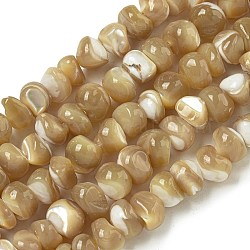 Natural Trochus Shell Beads Strands, Nuggets, Dark Goldenrod, 4.5~16.5x6~11.5x6~9mm, Hole: 0.5mm, about 74pcs/strand, 15.79''(40.1cm)(BSHE-G039-01A)