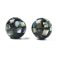 Natural Paua Shell Beads, Round, 8mm, Hole: 1mm(SHEL-N026-189B-02)