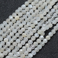 Natural White Moonstone Beads Strands, Faceted, Round, White, 4mm, Hole: 0.7mm, about 91pcs/strand, 15.35 inch(39cm)(G-E411-07-4mm)