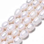 Natural Cultured Freshwater Pearl Beads Strands, Rice, Seashell Color, 10~12.5x8~9mm, Hole: 0.7mm, about 34~35pcs/strand, 14.96 inch~15.35 inch(38~39cm)(PEAR-N012-08C)