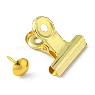 Iron Clips and Round Head Drawing Pins, Golden, 31mm(AJEW-TAC0025-02B-G)