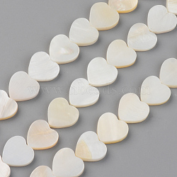 Natural Freshwater Shell Beads Strands, Heart, Seashell Color, 12.5x13x3mm, Hole: 1mm, about 30pcs/strand, 13.78 inch(35cm)(SHEL-S276-87)
