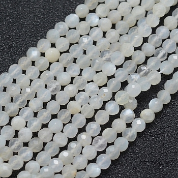 Natural White Moonstone Beads Strands, Faceted, Round, White, 4mm, Hole: 0.7mm, about 91pcs/strand, 15.35 inch(39cm)