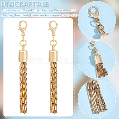 2 pièces de décoration de pendentif de chaîne de gland de porte-clés en alliage(HJEW-UN0001-24)-5