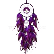 Iron & Glass Chips Pendant Hanging Decoration, Woven Net/Web with Feather Wall Hanging Wall Decor, Purple, 730mm(PW-WG35869-03)