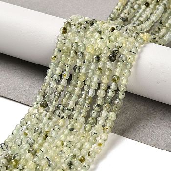 Natural Prehnite Beads Strands, Round, 4mm, Hole: 0.8mm, about 97pcs/strand, 15.35''(39cm)