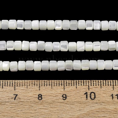 Natural Trochid Shell/Trochus Shell Beads Strands(SH-CBA2978-18A)-4