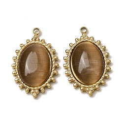 303 Stainless Steel & Cat Eye Pendants, Oval Charms, Ion Plating(IP),  Long-Lasting Plated, Golden, Camel, 23.5x15x4.5mm, Hole: 1.5mm(CE-CBA1E47-13G-01)