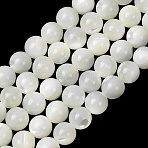 Natural Trochid Shell/Trochus Shell Beads Strands, Smooth Round, White, 5~5.5mm, Hole: 0.8mm, about 35pcs/strand, 7.09''(18cm)(SH-CBA2978-16A)