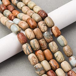 Natural Aqua Terra Jasper Beads Strands, Impression Jasper, Column, 14~14.5x10mm, Hole: 0.8mm, about 27pcs/strand, 15.16 inch(38.5cm)(G-L624-C03-14x10mm)
