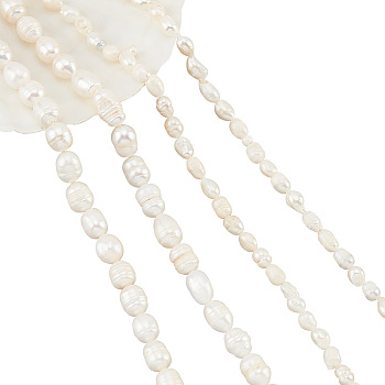 4Strands 2 Styles Natural Cultured Freshwater Pearl Beads Strands, Rice, Seashell Color, 5~11.5x5~8.5mm, Hole: 0.7~0.8mm,  2 strands/style