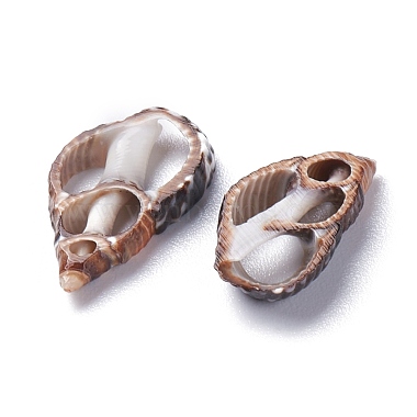 Perles de coquillage en spirale naturelle(BSHE-I016-05)-3