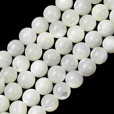 Natural Trochid Shell/Trochus Shell Beads Strands(SH-CBA2978-16A)-1