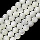 Natural Trochid Shell/Trochus Shell Beads Strands(SH-CBA2978-16A)-1