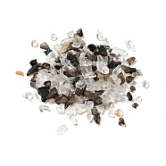 Natural Quartz Crystal & Smoky Quartz Beads, No-hole/Undrilled, Chip, 1~13x1~9x0.5~6mm, about 20000pcs/kg(G-D472-06)